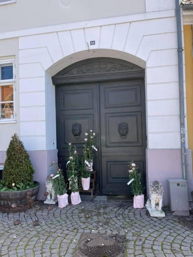 Apothekergaarden Stege Stuen Mod Gardhaven Bed & Breakfast エクステリア 写真